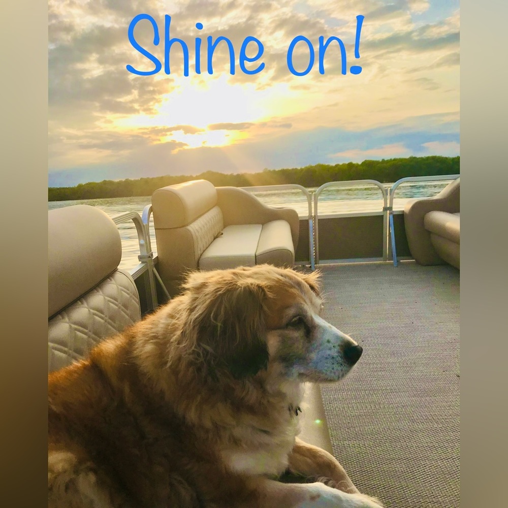 Meet your Posher, Liane